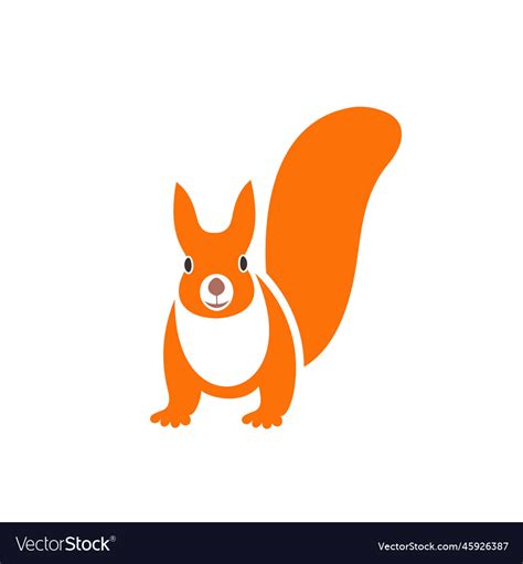 Squirrel Royalty Free Vector Image - VectorStock