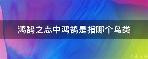 鸿鹄之志中鸿鹄是指哪个鸟类 业百科