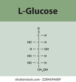 Straight Chain Form Chemical Structure Lglucose Stock Vector Royalty