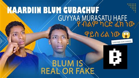 KAARDIIN AIRDROP BLUM GUBACHUF የ ብልም ካርድ ሊቃጠል ነው YouTube