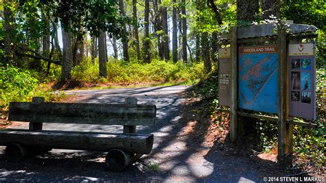 Assateague Island National Seashore | WOODLAND TRAIL