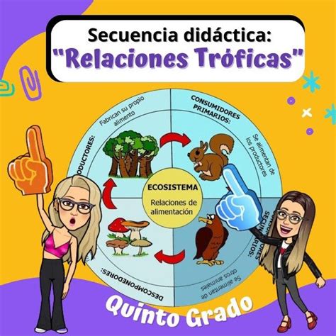 Secuencia didáctica RELACIONES TRÓFICAS Quinto grado Andamoos Creandoo