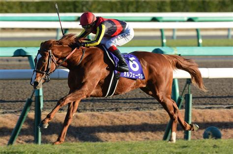 小倉競馬場のレース傾向と対策は？小倉競馬の攻略方法！ 当たる競馬予想サイト