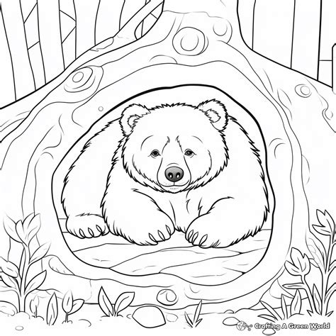 Hibernating Bear Coloring Pages - Free & Printable!