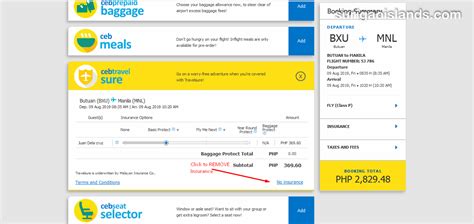 How To Buy Cebu Pacific Ticket Online