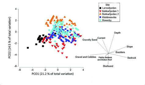 Principal Components Analysis Plot Of The Substrate Type Gravelly