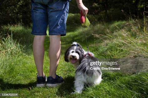 Why Was Dog Poop White In The 80s