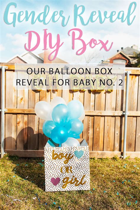 Gender Reveal Decorations Ideas Diy Shelly Lighting