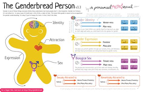 Sexual Orientation Types