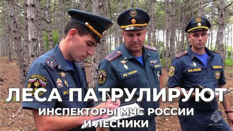 Инспекторы МЧС России и Севастопольского лесничества провели рейд - YouTube