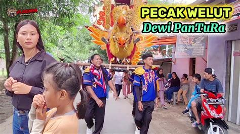 PECAK WELUT SINGA DANGDUT DEWI PANTURA Show Indramayu YouTube