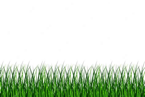 Premium Vector Green Grass Background Natural Field Background Vector Illustration Eps 10