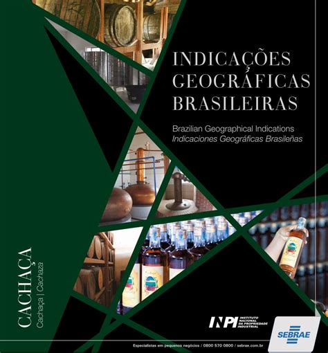 PDF INDICAÇÕES GEOGRÁFICAS BRASILEIRAS inpi gov br 12 Indicações