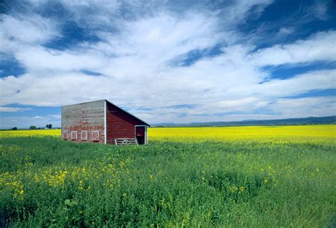 Free Images Landscape Horizon Cloud Sky Field Farm Meadow