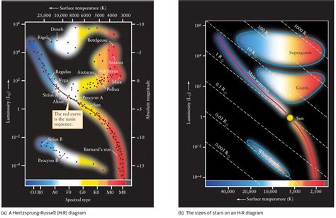 How Do Scientists Classify Stars Telescope Guru