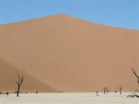 The 7th Tallest Dune In The World Dune 7 In The Namib Desert In