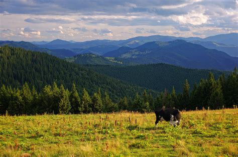 Munţii Stânişoarei Rumunia Travel Pl