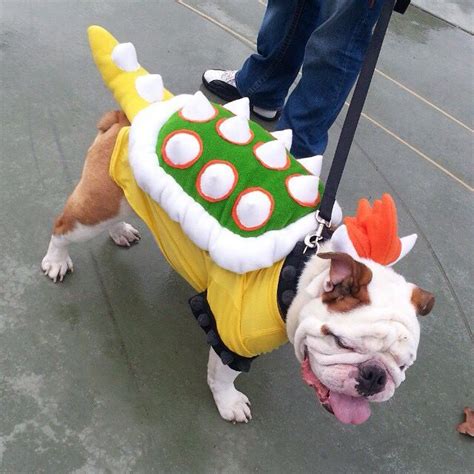 My Homemade Bowser Costume From Super Mario Bros Bowser Costume