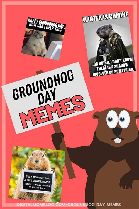 From Shadow To Sunshine Hilarious Groundhog Day 2024 Memes Groundhog