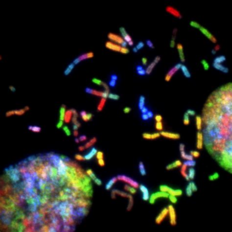 The First Known Case Of Sex Development Disorder Realclearscience