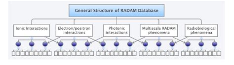 The principal structure of the RADAM database as it was elaborated at ...