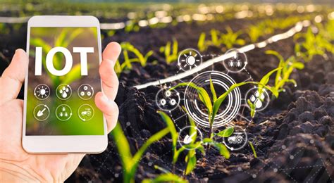 Smart Farming Embracing The Future Of Sustainable Agriculture