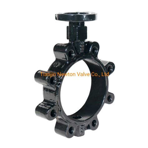 Ductile Iron Butterfly Valve Prices Lug Butterfly Valves At Best Price