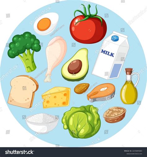 Five Food Groups Isolated Illustration Stock Vector Royalty Free