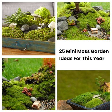 25 Mini Moss Garden Ideas For This Year Sharonsable