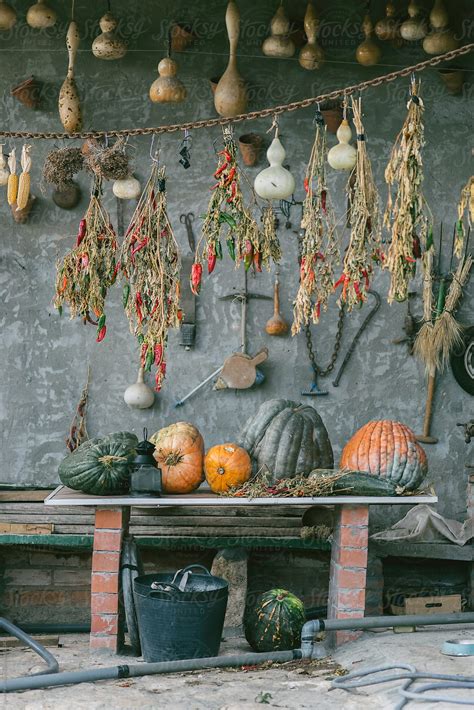 Pumpkins Prepared For The Great Hallowen Party Del Colaborador De