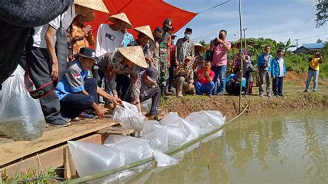 Target Sahung Jadi Lumbung Ikan Air Tawar