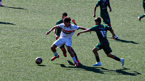 Sub Do Botafogo Goleia E Dispara Na Lideran A Do Paulista Botafogo