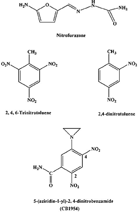 Structures Of 5 Aziridin 1 Yl 2 4 Dinitrobenzamide CB1954