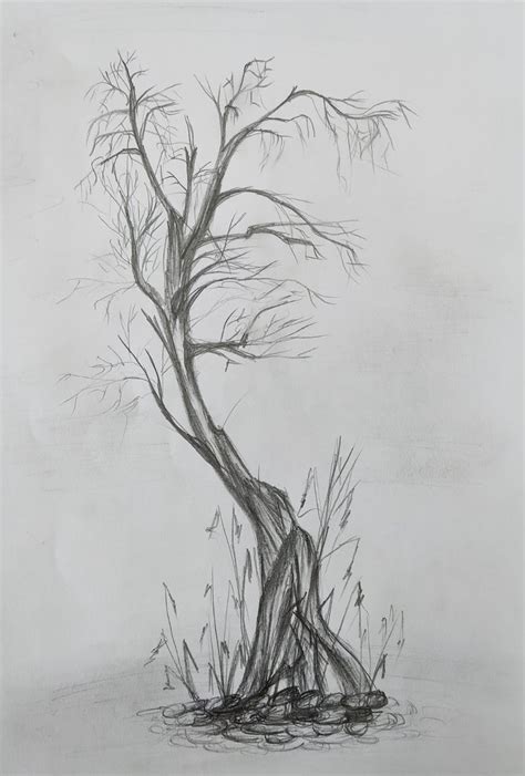 Fine Art Tree Pencil Drawing, Handmade Original Sketch, Realistic ...