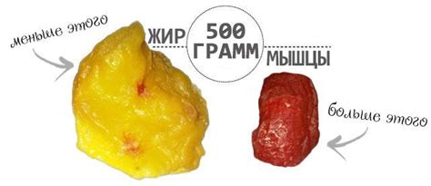 Фото сравнение мышцы и жир: Что тяжелее – мышцы или жир, и почему цифры ...