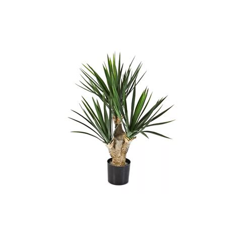 Yucca Artificiel Baby Cm Cactus Et Succulentes Artificiels Grandes