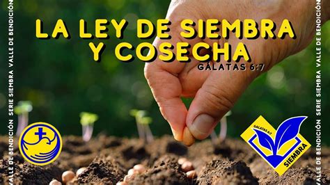 La Ley De Siembra Y Cosecha Bendici N En Casa Youtube