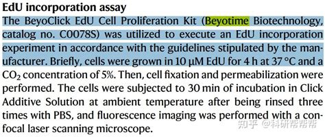 MTTCCK8EdU那么多细胞增殖检测方法怎么选 知乎