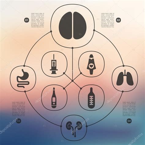 医学信息图表 Stock Vector by Palau83 58777501