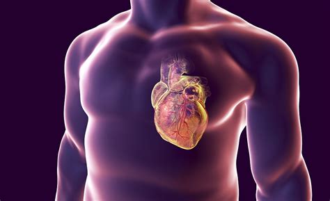 Aha Names Pcsk9 Inhibitor Evolocumab As A Top Advance In Heart Disease