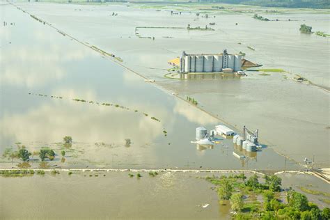 Contract awarded for Watson levee repair - Farmer Publishing