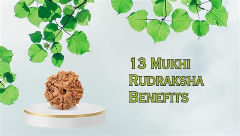 Natural 13 Mukhi Rudraksha Benefits Significance Power Uses