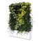 Wandbegr Nung Lebende Pflanzen Moving Hedge Greenworks Sweden