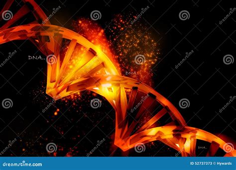 De Structuur Van DNA Stock Illustratie Illustration Of Chromosoom