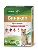 Интернет-зоомагазин SIMBIO — купить товары для животных по выгодным ценам