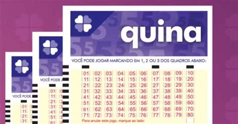 Resultado da Quina 6630 de hoje 13 01 confira os números sorteados