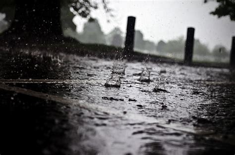 雨 無料画像 - Public Domain Pictures