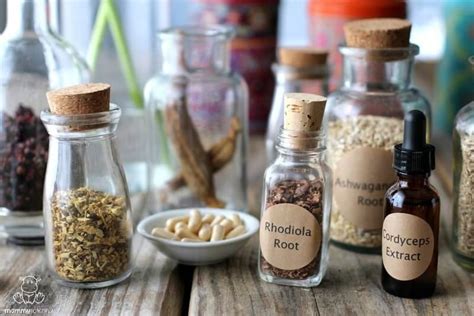 The Beginners Guide To Adaptogens For Adrenal Support