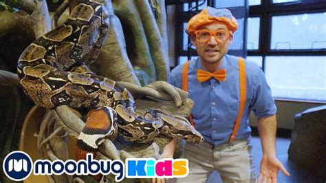 Blippi Feeds and Plays With the Animals | @Blippi – Educational Videos for Kids | Moonbug ...