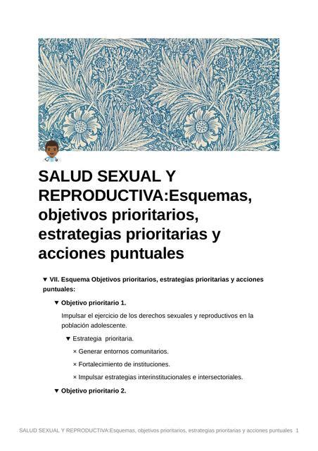 Salud Sexual Y Reproductiva Esquemas Objetivos Prioritarios Estrategias Prioritarias Y